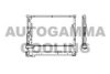 AUTOGAMMA 101567 Condenser, air conditioning